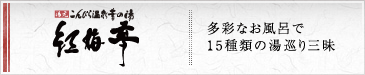 紅梅亭 | 多彩なお風呂で15種類の湯巡り三昧