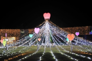 国営讃岐まんのう公園にて「早春フェスタ」