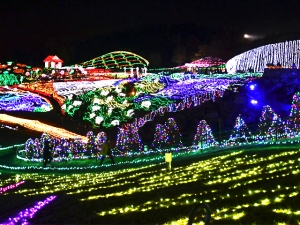 まんのう公園　ウィンターファンタジー