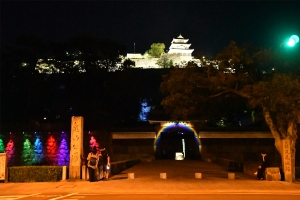 【丸亀城キャッスルロード】秋夜に丸亀城を彩る光のオブジェ幻想空間が広がります