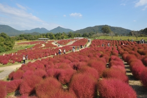 【国営讃岐まんのう公園】9/17～「秋！色どりフェスタ」開先