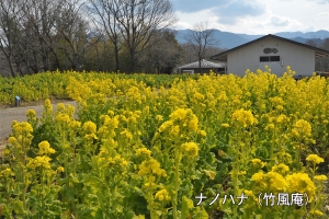 【国営讃岐まんのう公園】早春フェスタ開催中！