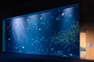 【四国水族館】四国最大級の水族館で「四国水景」を満喫