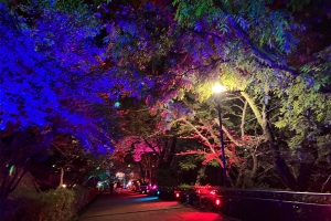10月4日～【丸亀城キャッスルロード2025-2026】開催！丸亀城の幻想的な夜景を満喫♪