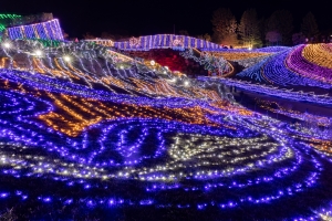 ✨冬の夜を彩る光の祭典✨ まんのう公園「ウィンターファンタジー」開催!【ホテルから車で約20分】