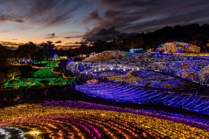 ✨冬の夜を彩る光の祭典✨ まんのう公園「ウィンターファンタジー」開催!【ホテルから車で約20分】