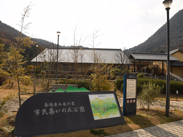 善通寺五岳の里 市民集いの丘公園 で春のお花便り 2月29日 ホテルからのお知らせ 琴平リバーサイドホテル 公式hp