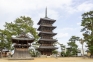 【弘法大師ゆかりの地】総本山善通寺へお参りしませんか？（ホテルから車で約15分）